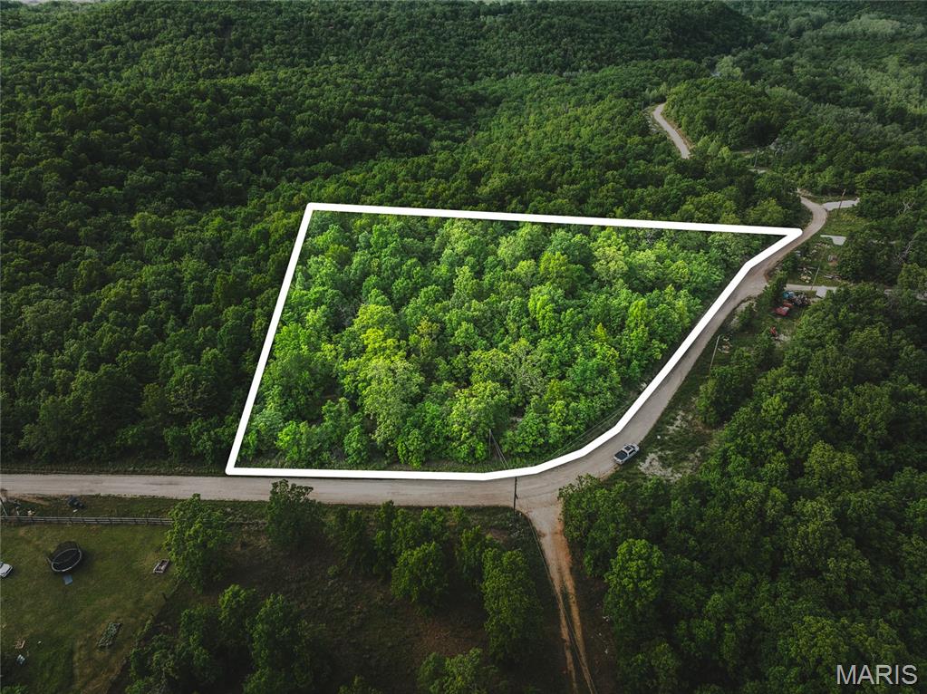 Tract 1 Treetop Lane