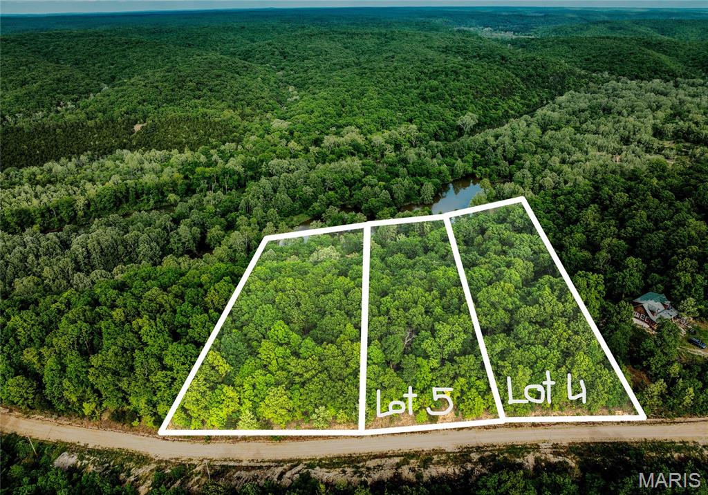 Tract 4 Treetop Lane