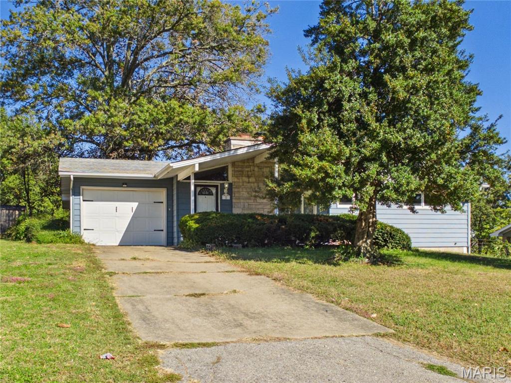 8 Camellia Drive